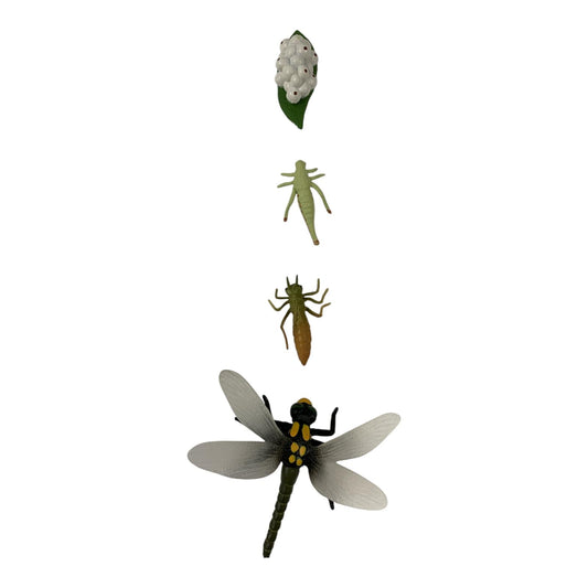 Educational Scientific Toys Life Cycle Set Dragon Fly || مجموعة العاب علمية دورة حياة اليعسوب