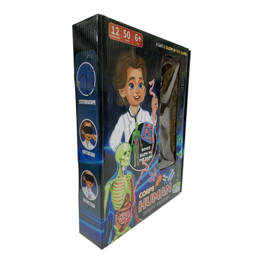 Corps Human Body Model Glow in the Dark Scientific Toy Set || لعبة علمية تشريح جسم الانسان مضيئ بالظلام