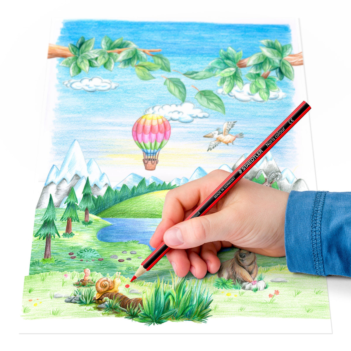 Staedtler Noris Colored Pencils - 12 Pack Metal Case – official product use and detail 4