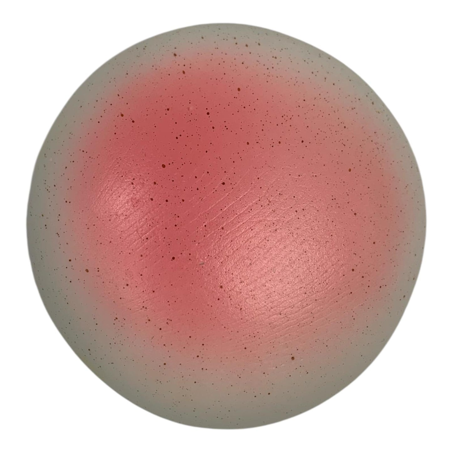 Jelly Cat Squishy Bun #3 || جيلي كات سكويشي شكل خبز برجر #3