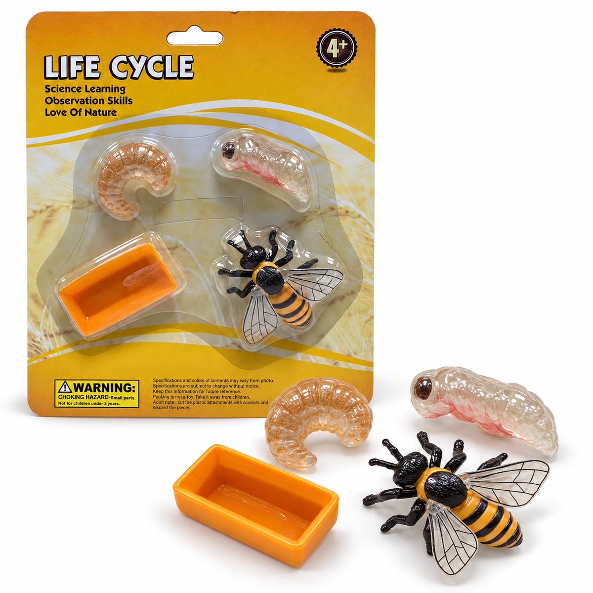 Educational Scientific Toys Life Cycle Set Bee || مجموعة العاب علمية دورة حياة النحلة