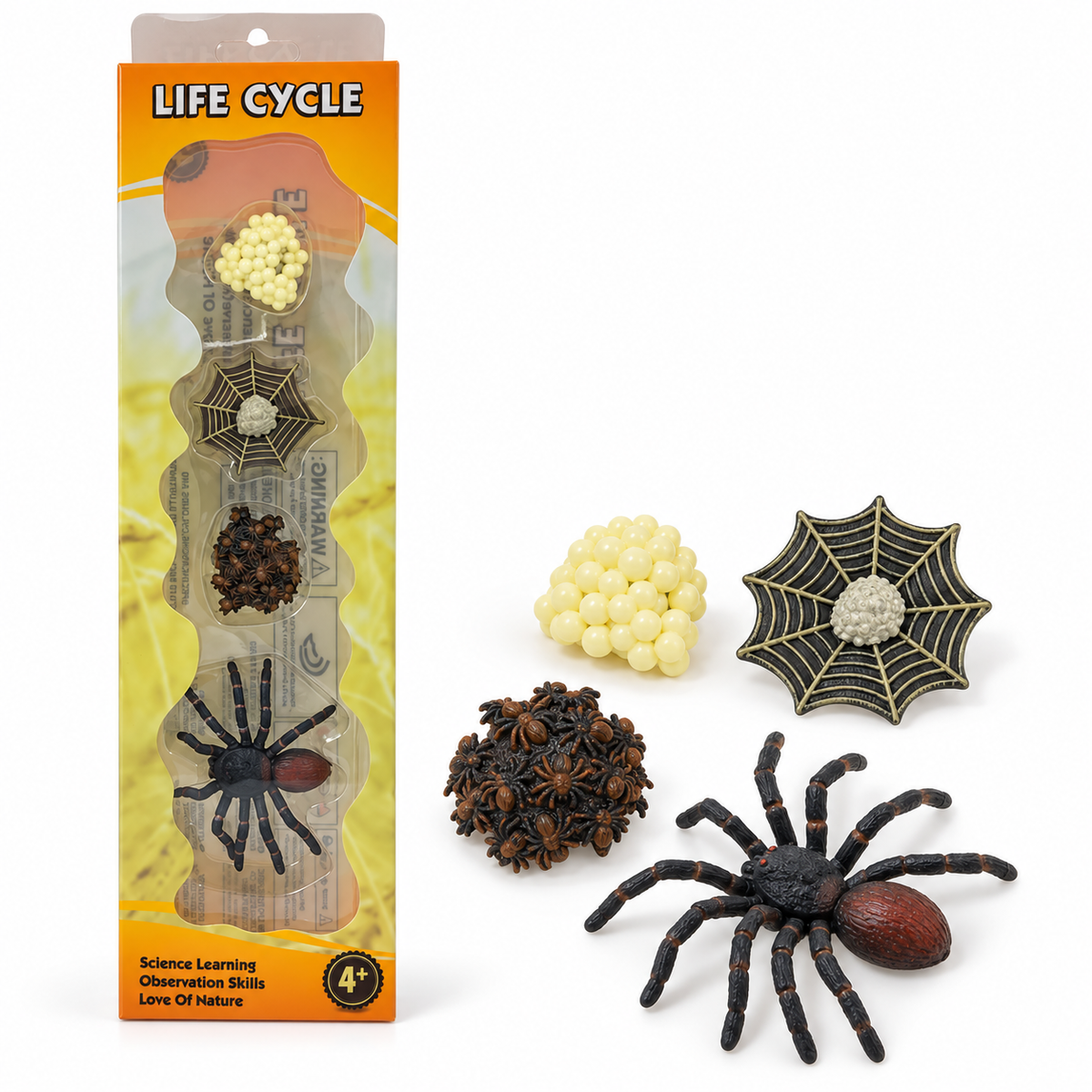 Educational Scientific Toys Life Cycle Set Spider || مجموعة العاب علمية دورة حياة العنكبوت
