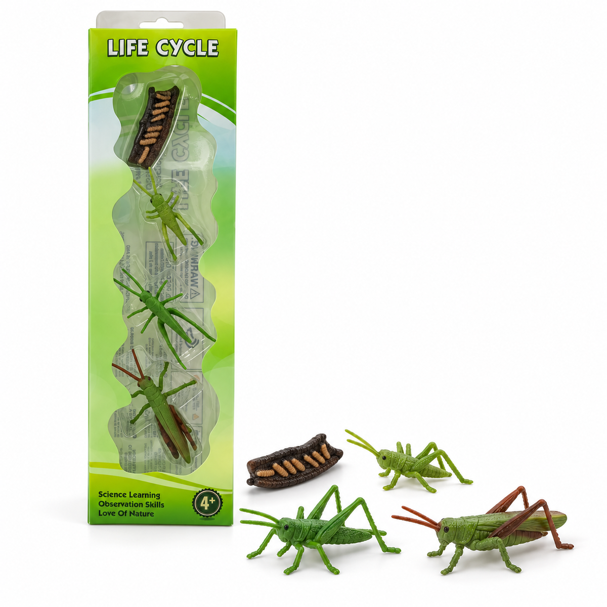 Educational Scientific Toys Life Cycle Set Grasshopper || مجموعة العاب علمية دورة حياة الجندب