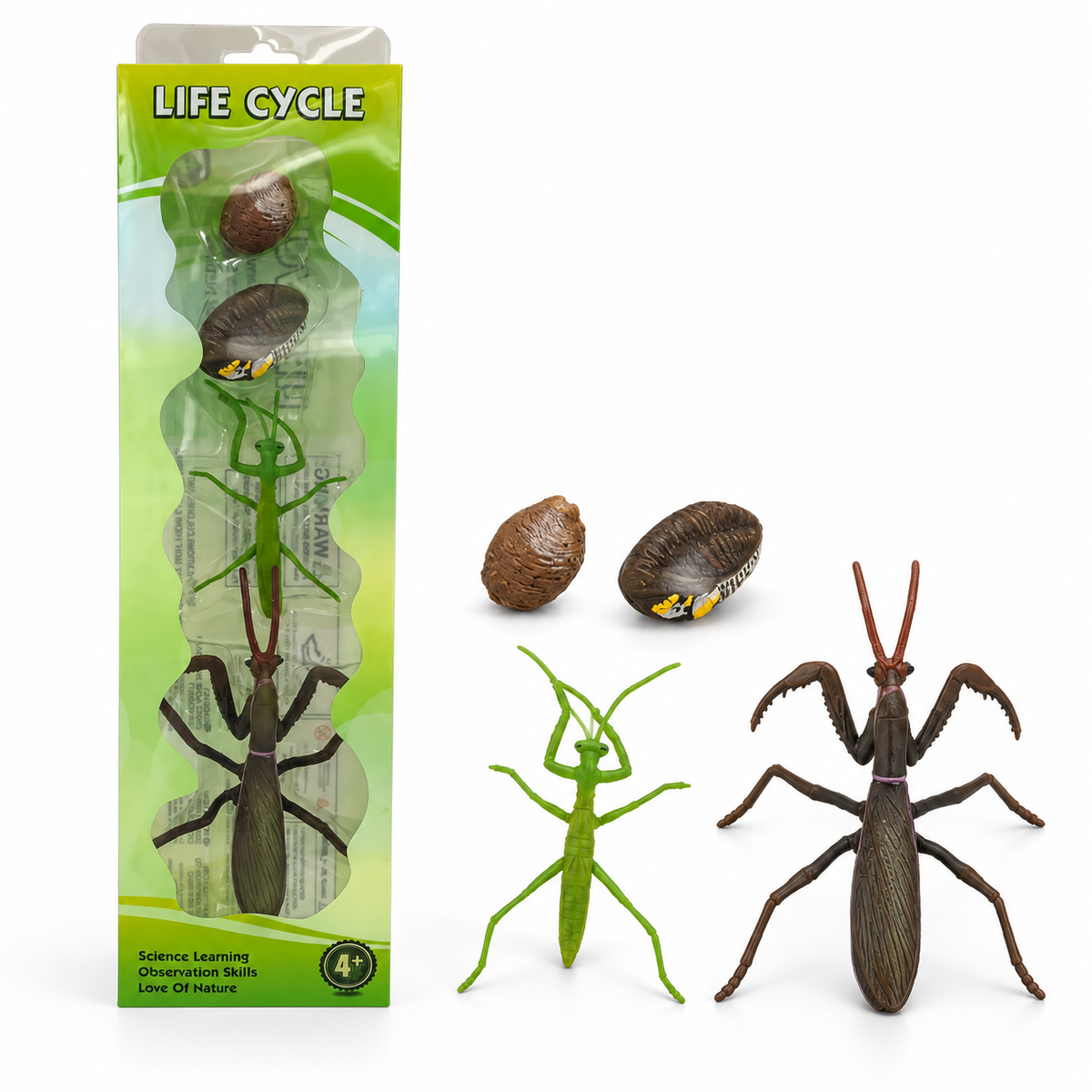 Educational Scientific Toys Life Cycle Set Mantis || مجموعة العاب علمية دورة حياة السرعوف