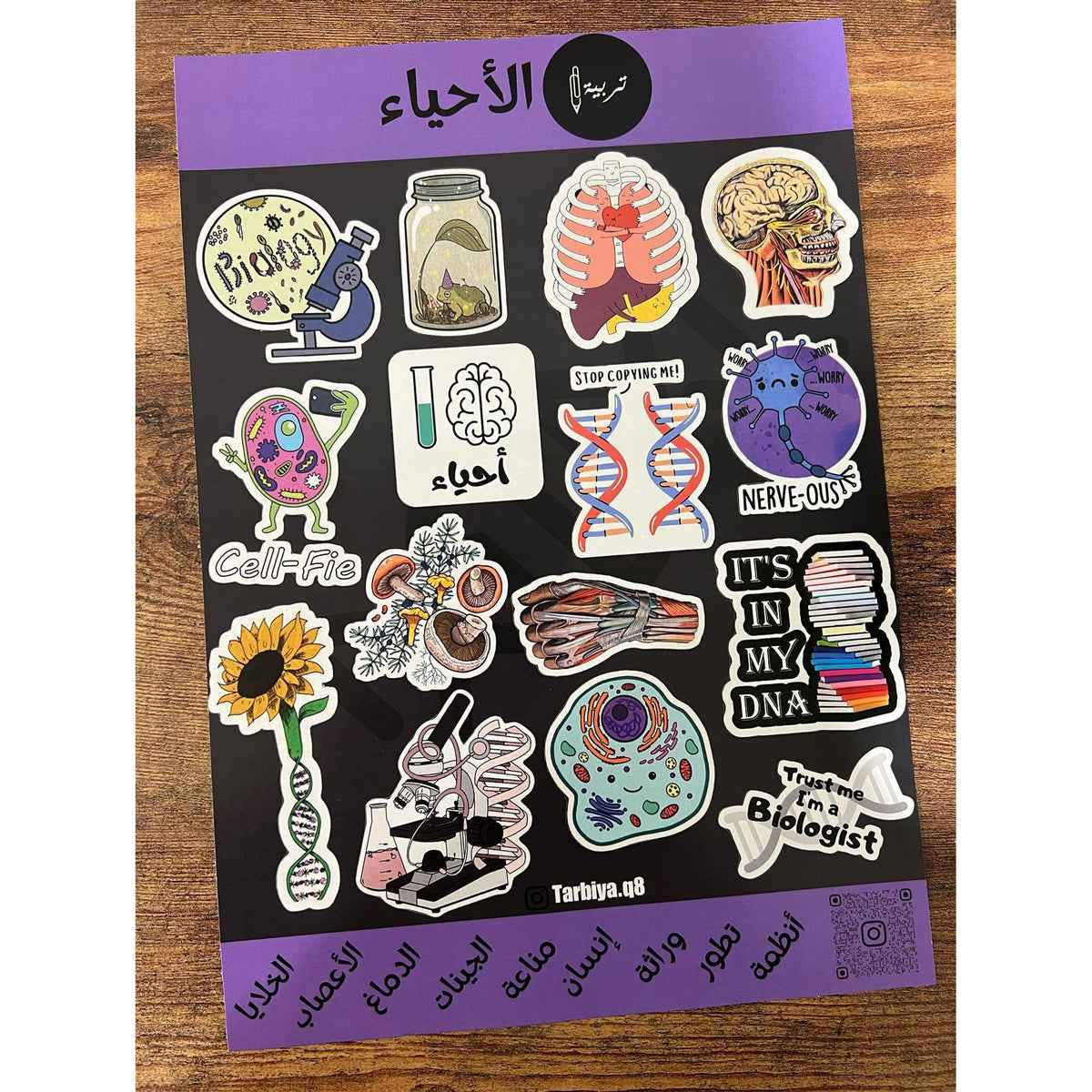 ستيكرات كلية التربية تخصص احياء