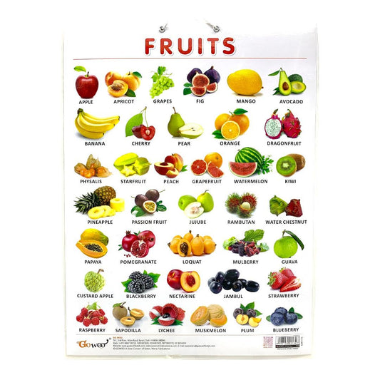 English Educational Posters Fruits || وسيلة انجليزي الفواكه