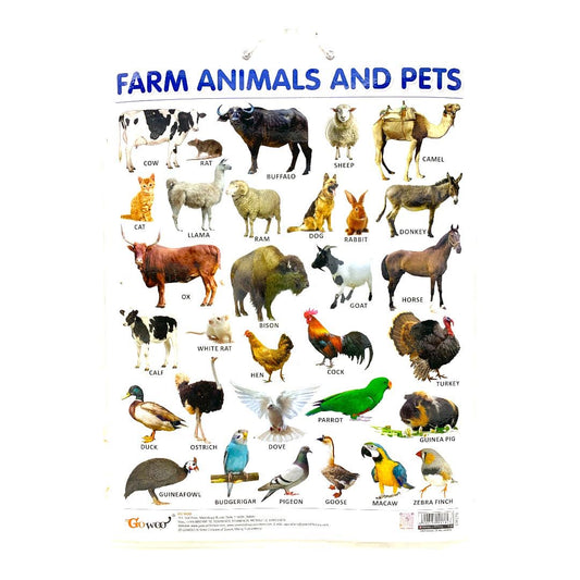 English Educational Farm Animals || وسيلة انجليزي حيوانات المزرعة