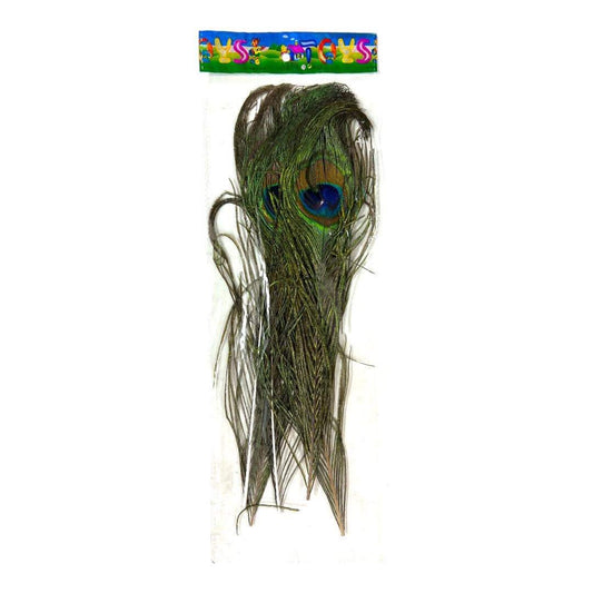 Peacock Feathers || ريش طاووس