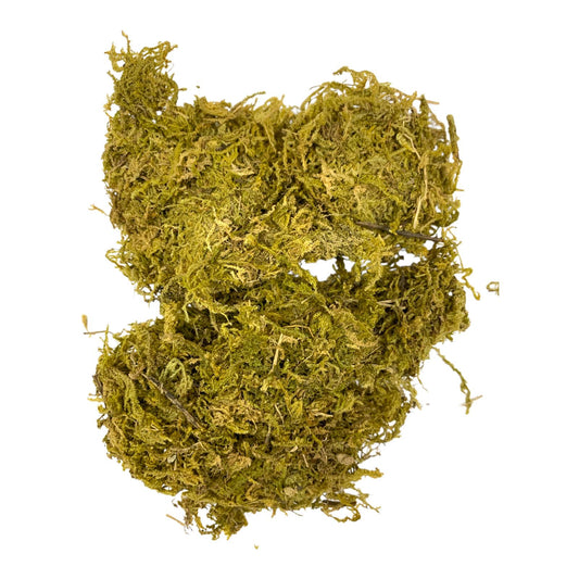 TWINS For Art Works Natural Moss Craft Kit || مجموعة طحالب للاشغال اليدوية