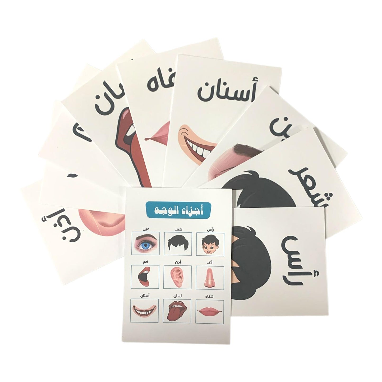 Educational Cards Classroom Strategies Face Parts || بطاقات تعليمية استراتيجيات و العاب نشاطات الفصل اجزاء الوجه