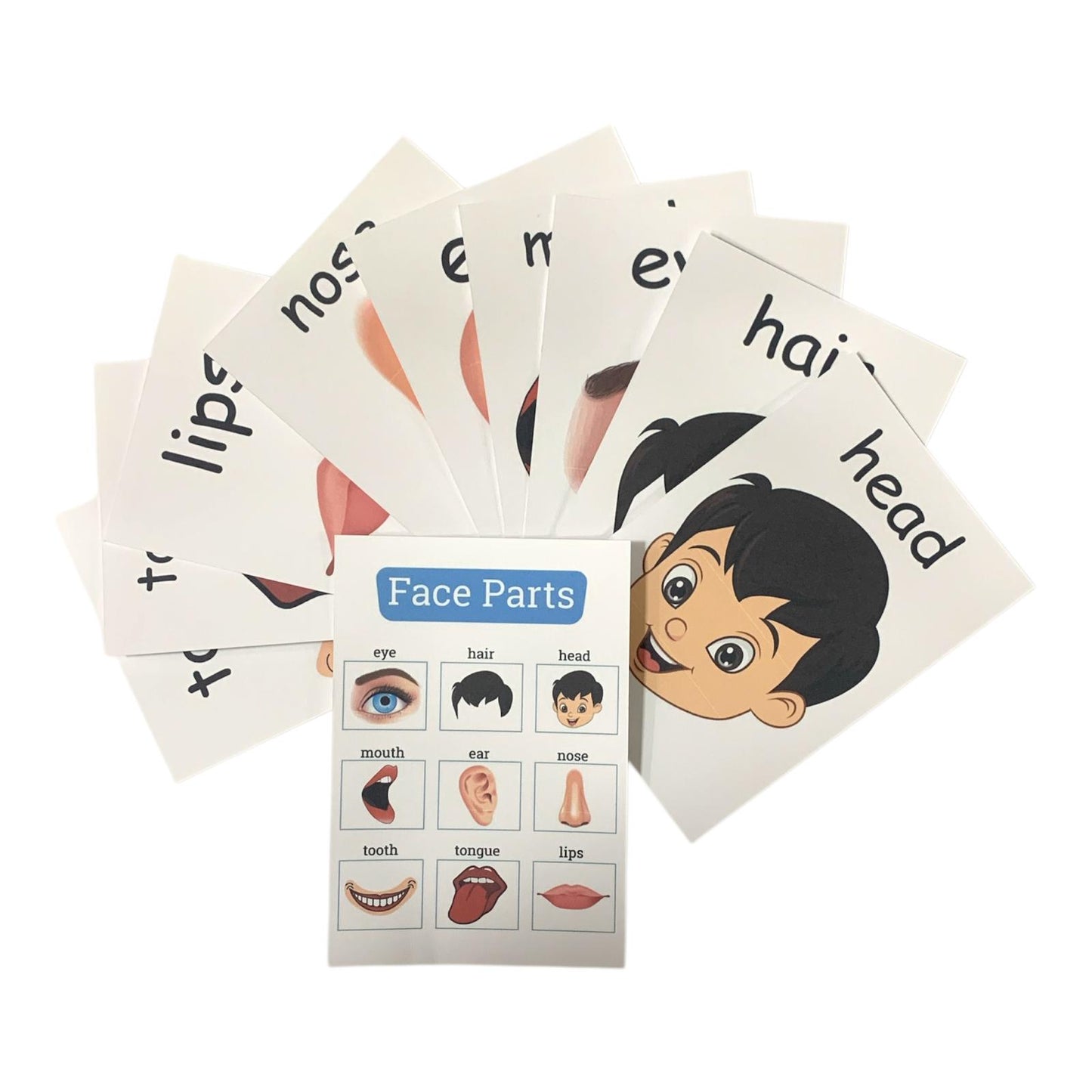 Educational Cards Classroom Strategies Face Parts English || بطاقات تعليمية استراتيجيات و العاب نشاطات الفصل اجزاء الوجه عربي