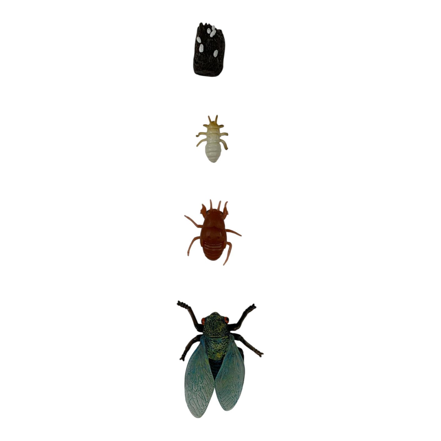 Educational Scientific Toys Life Cycle Set Flies || مجموعة العاب علمية دورة حياة الذبابة