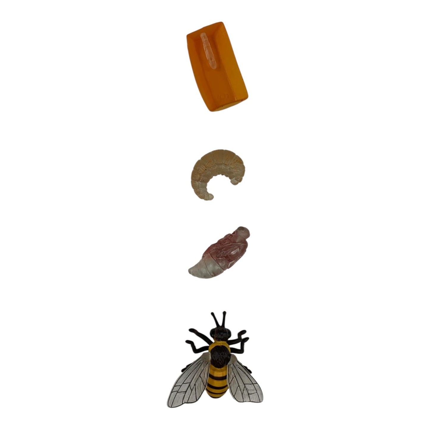 Educational Scientific Toys Life Cycle Set Bee || مجموعة العاب علمية دورة حياة النحلة