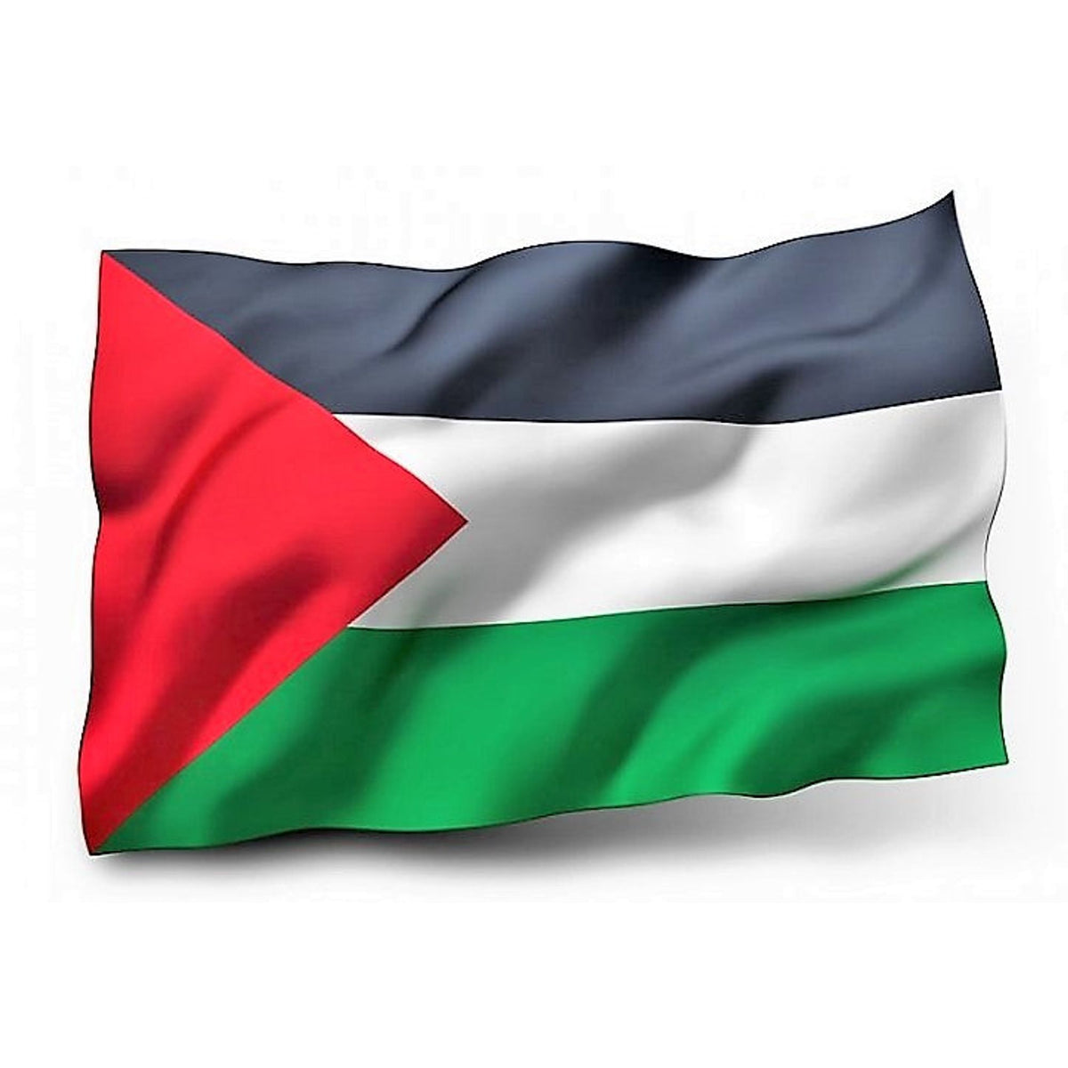 Palestine Flag || علم فلسطين
