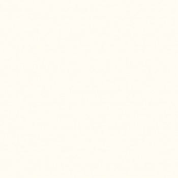 Pebeo PRIMACOLOR 150 ML WHITE || الوان بيبيو جواش بريما 150 مل ابيض