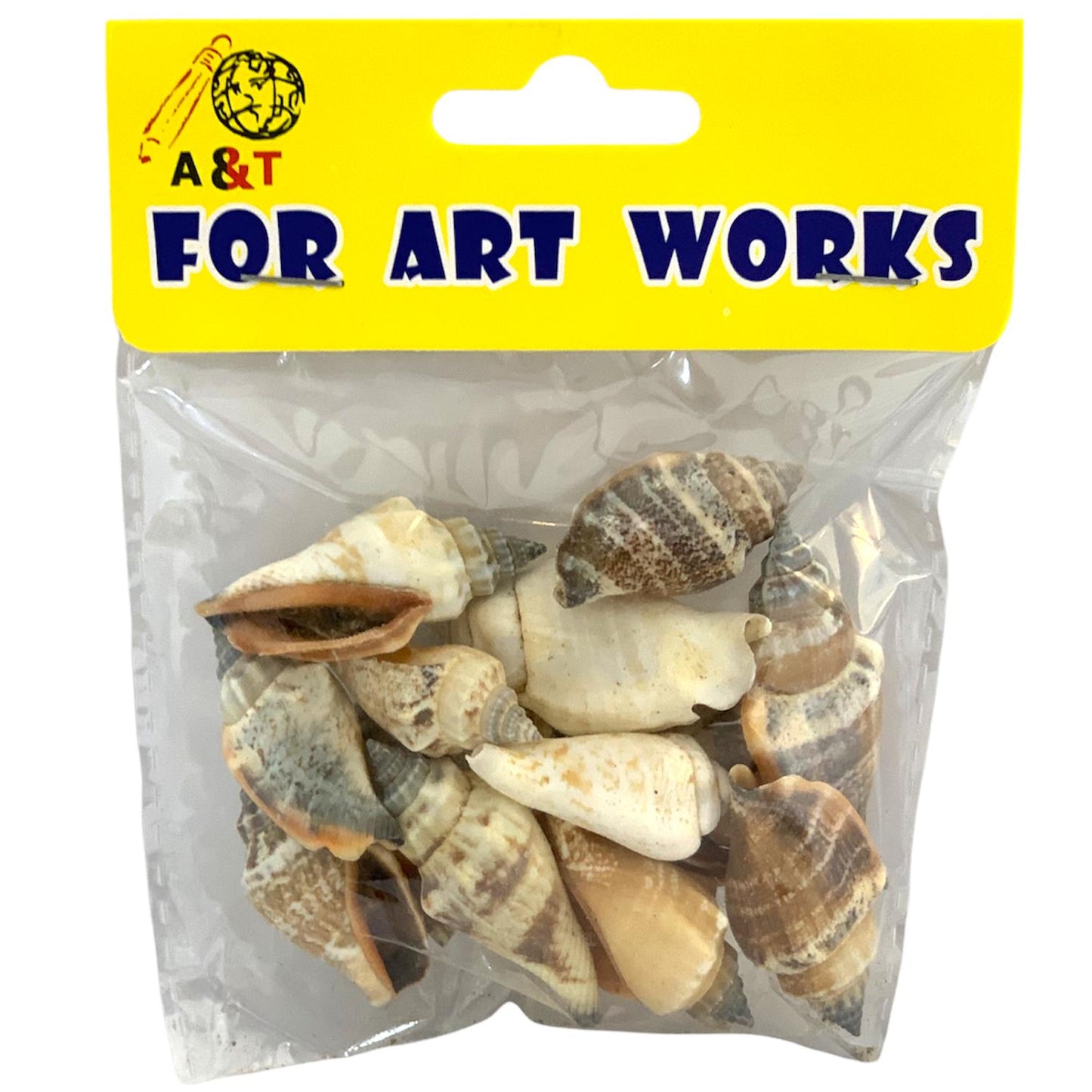 A&T Seashells Medium || مجموعة صدف وسط