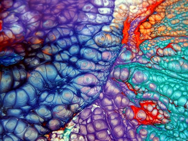 Pebeo Fantasy Prisme Collection Box 10 Colors || الوان عالم الفانتازيا من بيبيو 10 لون مع الادوات