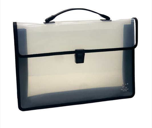 Transparent Plastic File || ملف شفاق ملون