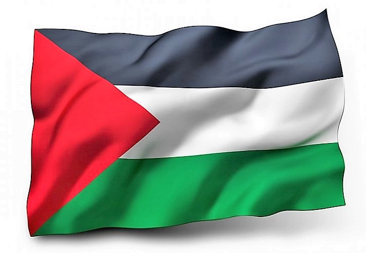 Palestine Flag || علم فلسطين