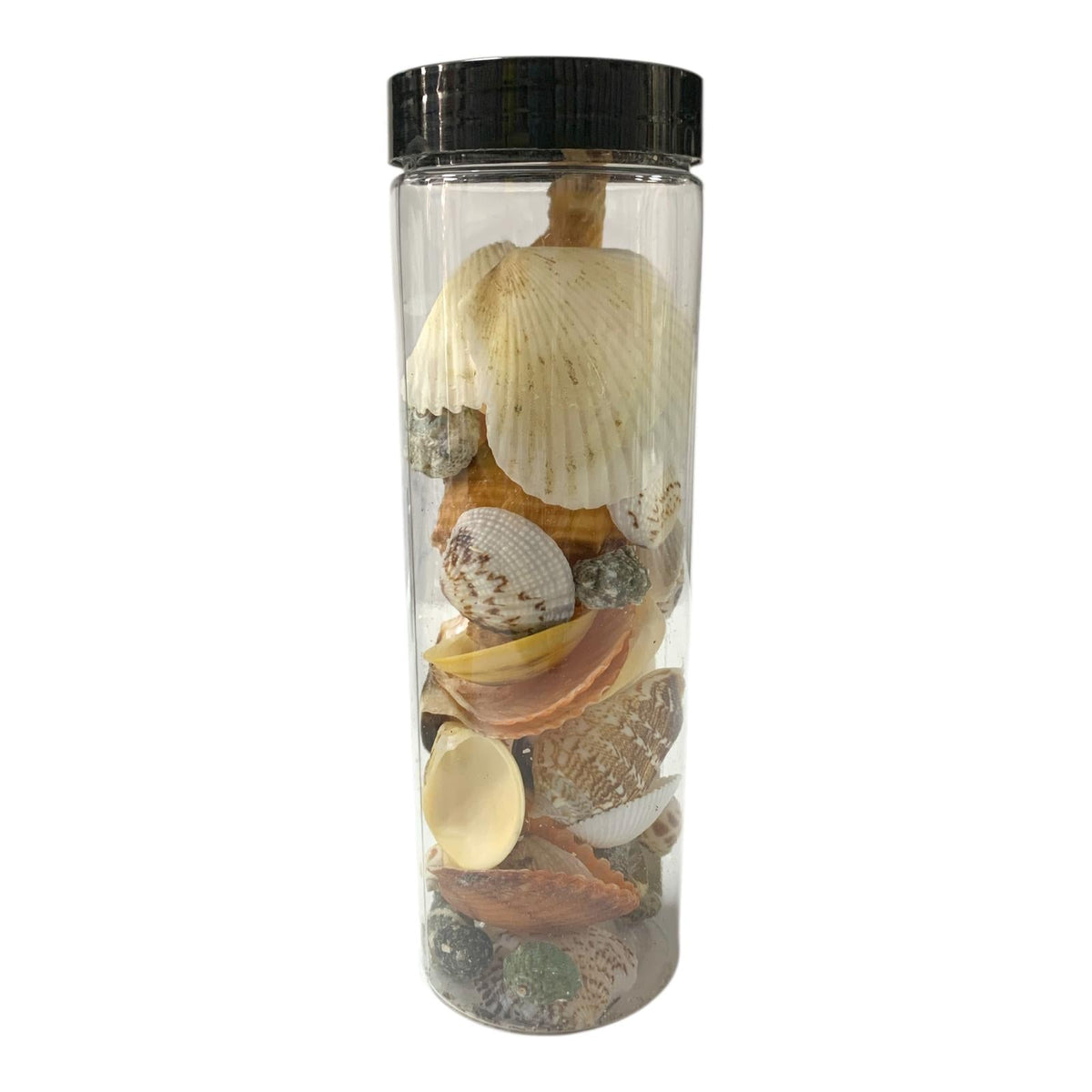 الحصى الزخرفية في جرة#9