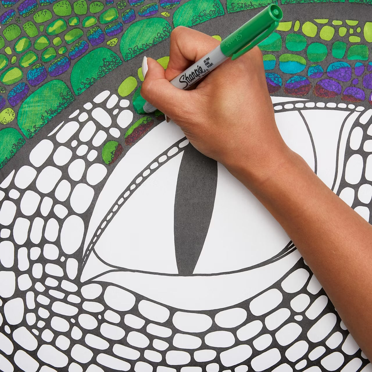 Sharpie Permanent Markers Set Special Edition Peacock 28 Pcs || مجموعة الوان شاربي ٢٨ لون طقم الطاووس