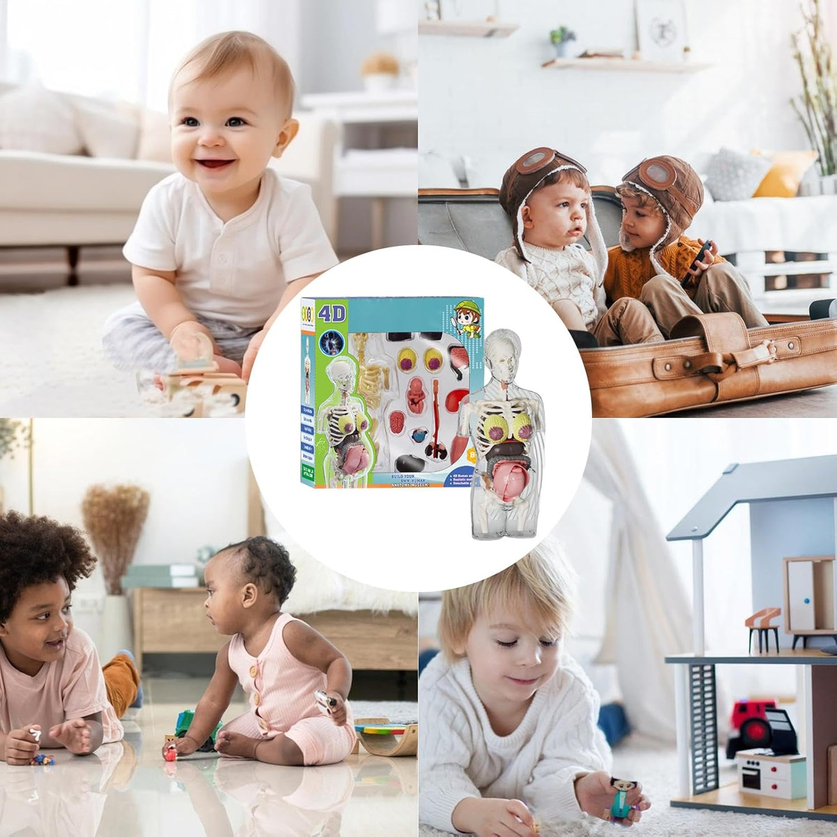 4D Transperant Pregnancy Torso Model Scientific Toy Set || لعبة علمية مجسم المرأة الحامل رباعية الابعاد