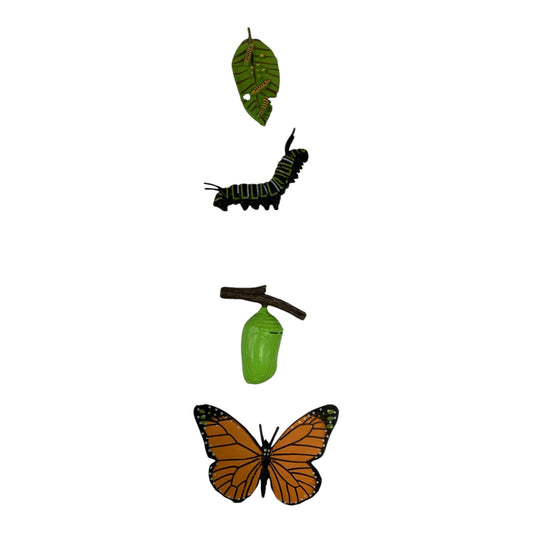 Educational Scientific Toys Life Cycle Set Butterfly || مجموعة العاب علمية دورة حياة الفراشة