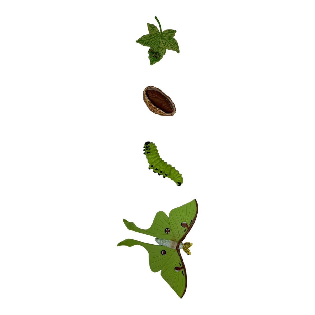 مجموعة العاب علمية دورة عثة لونا