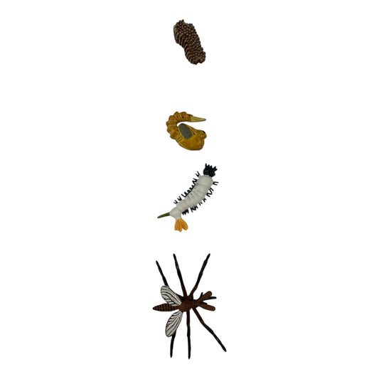 Educational Scientific Toys Life Cycle Set Mosquito || مجموعة العاب علمية دورة حياة البعوضة