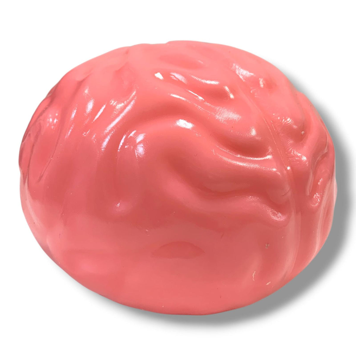 Jumbo Squishy Brain || سكوشي جامبو دماغ