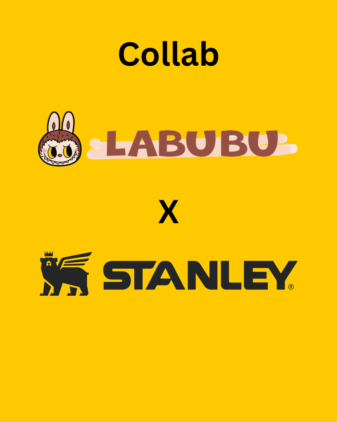 Labubu X Stanley Collab Water Bottle || مطارة ماء لابوبو ستانلي #٣