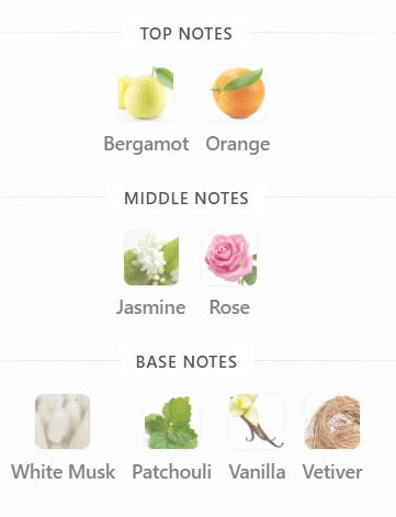 Bois de Nuit Perfume || عطر بوا دو نوي