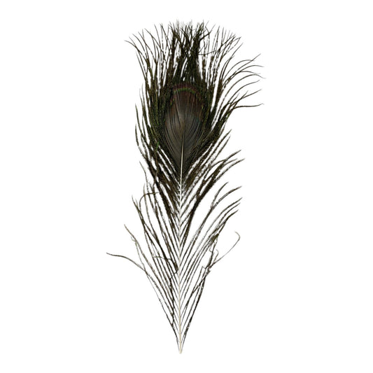 A&T Decorative Peacock Feather for Crafts || ريش طاووس اي اند تي للاشغال اليدوية