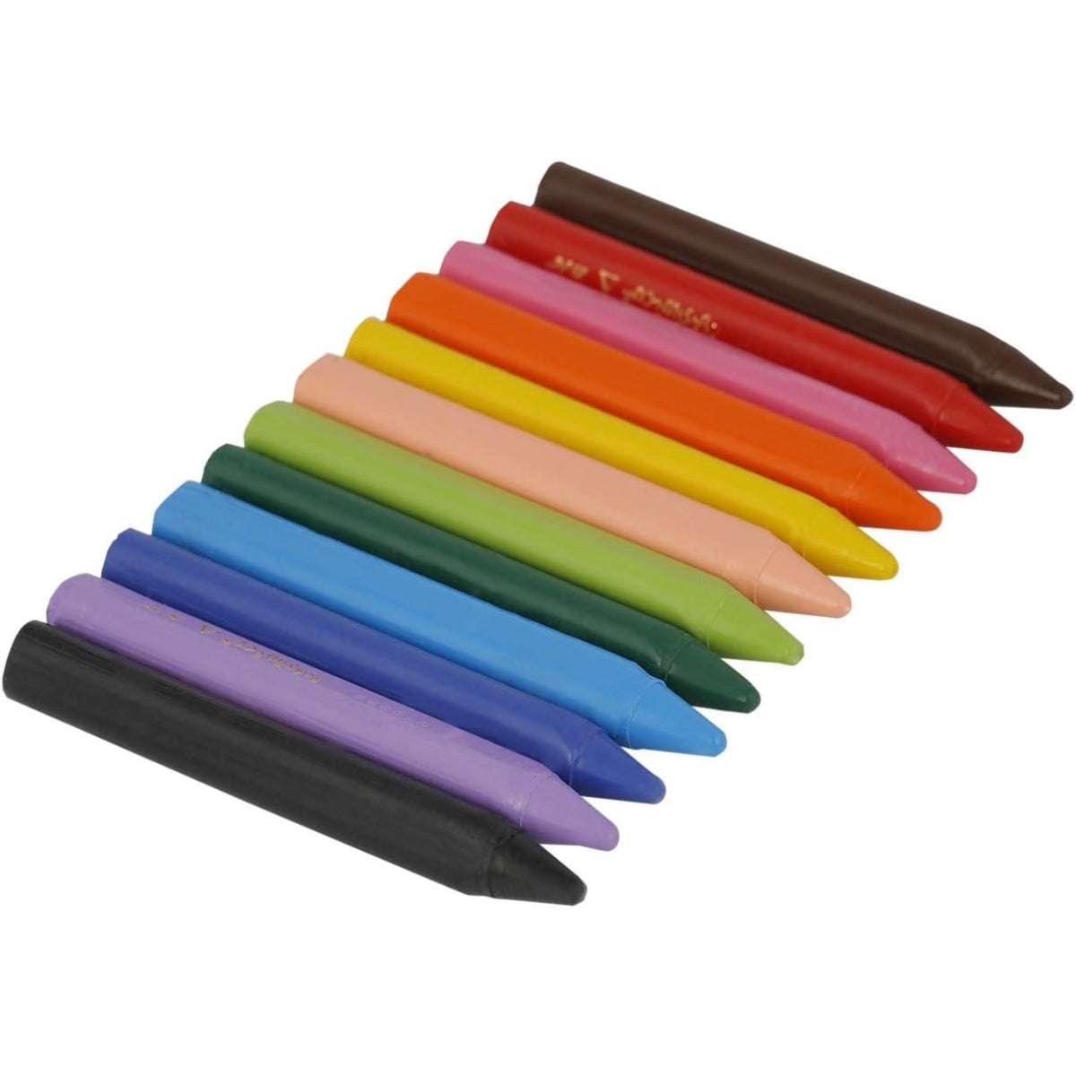 BIC Kids PLASTIDECOR Crayons 12 Colors || الوان بلاستيكية بيك ١٢ لون