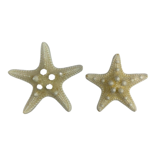 A&T Star Fish DIY || نجوم البحر اشغال يدوية اي اند تي