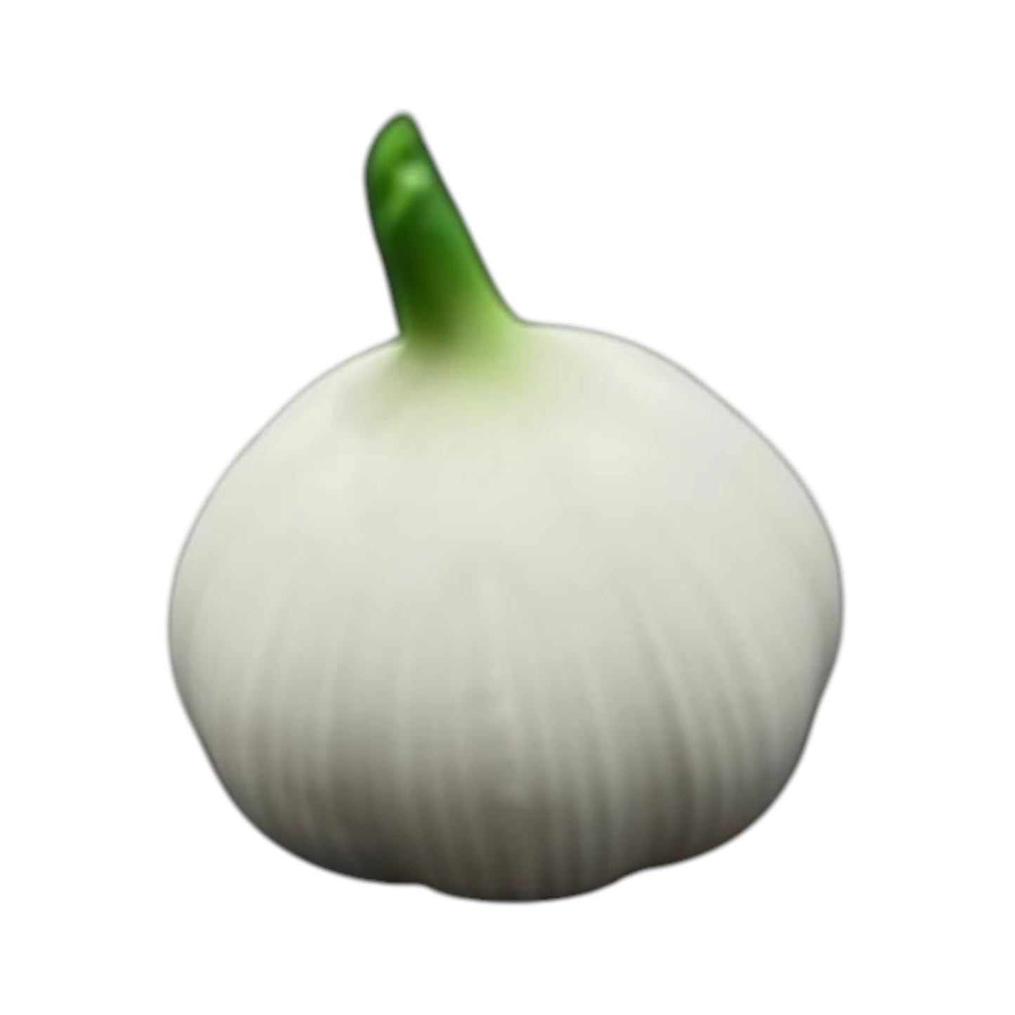 Garlic Squishy || سكوشي ثوم