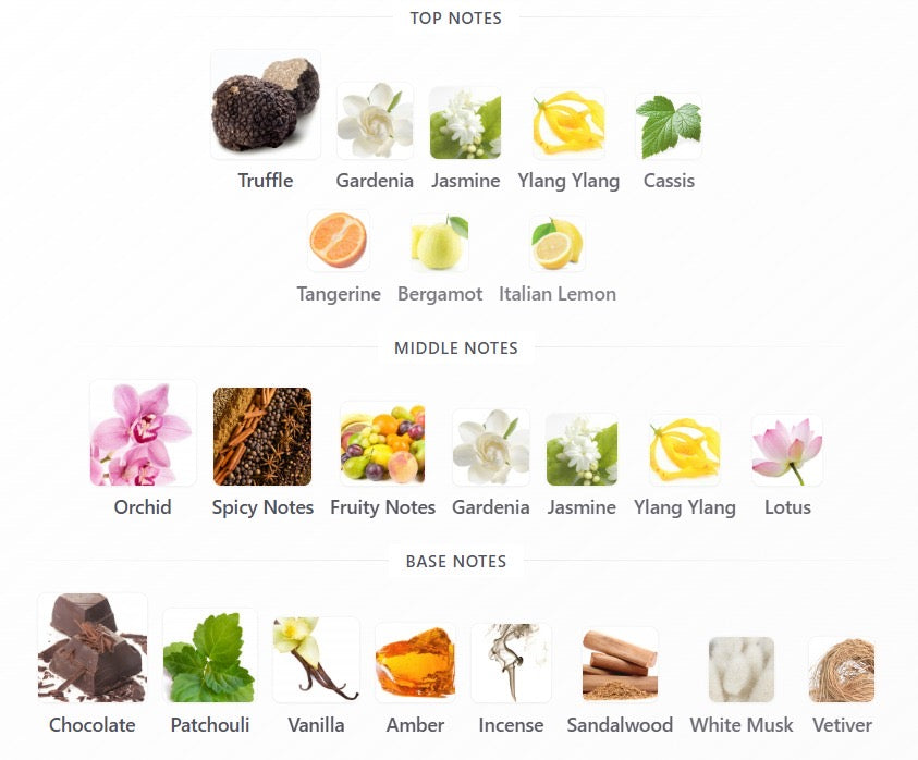 Black Origami Perfume || عطر بلاك اوريغامي