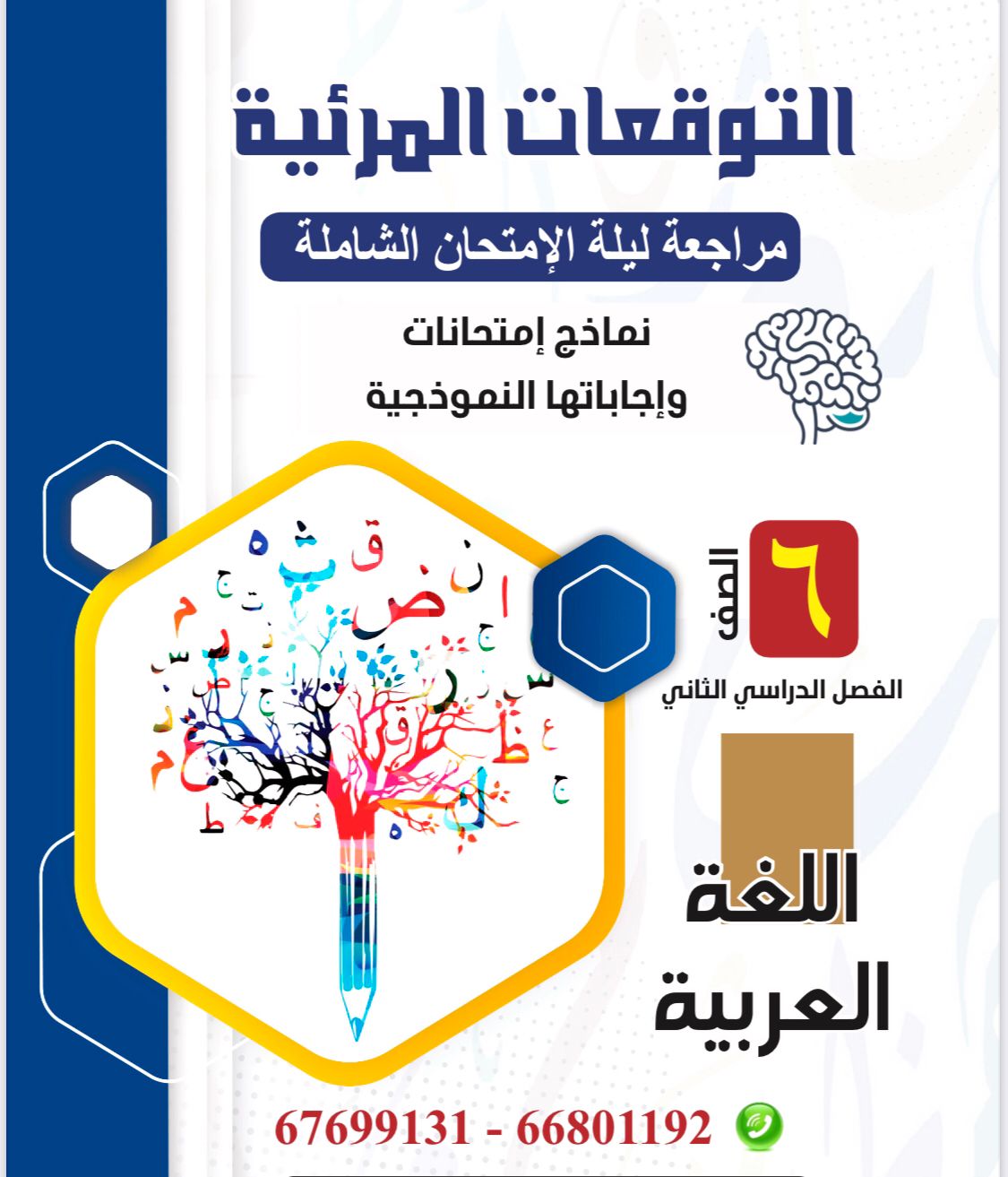 مذكرة التوقعات المرئية لمراجعة ليلة الامتحان الصف السادس الفصل الدراسي الثاني عربي