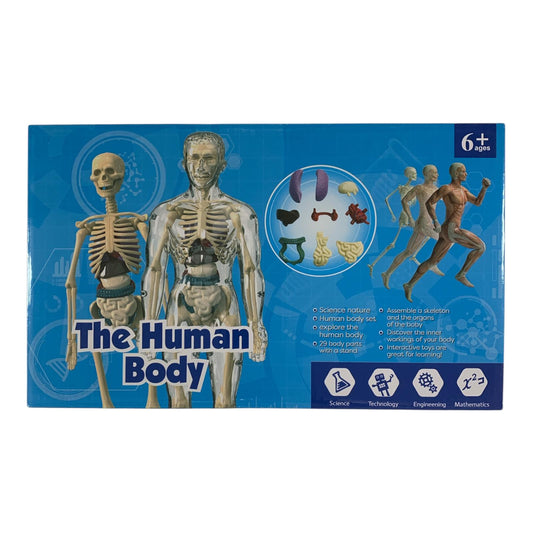 The Human Body Scientific Toy Set  || لعبة علمية جسم الانسان