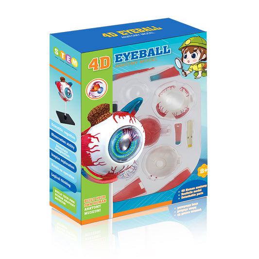 4D Eyeball Anatomy Model Scientific Toy Set  || لعبة علمية اجزاء العين البشرية رباعية الابعاد