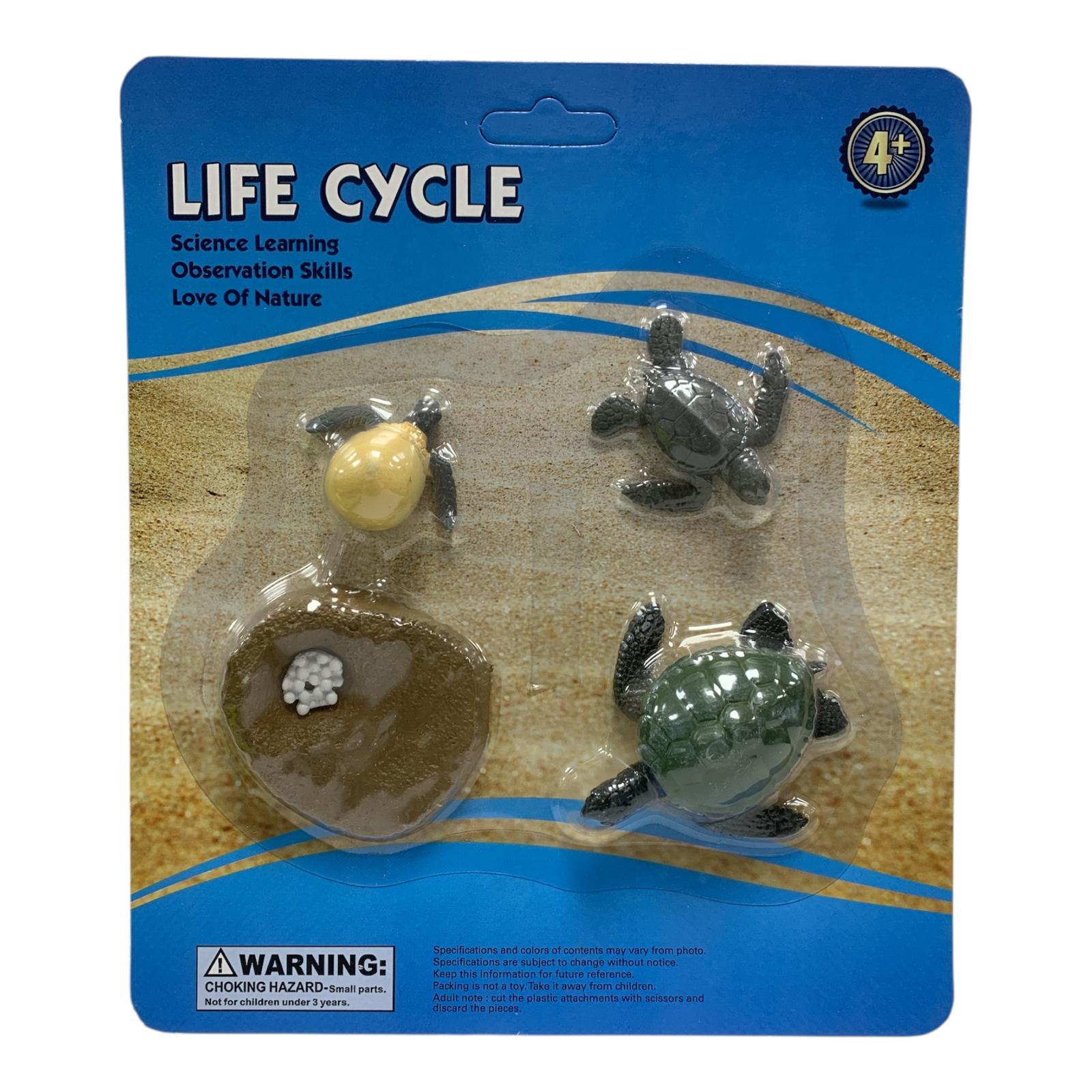 Educational Scientific Toys Life Cycle Set Turtle || مجموعة العاب علمية دورة حياة السلحفاة