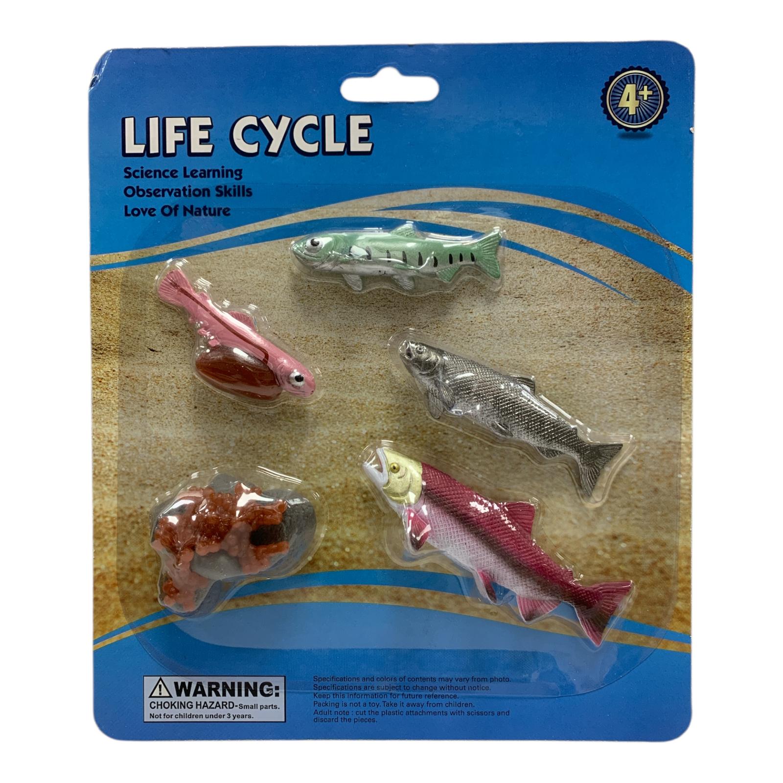 Educational Scientific Toys Life Cycle Set Fish || مجموعة العاب علمية دورة حياة السمكة