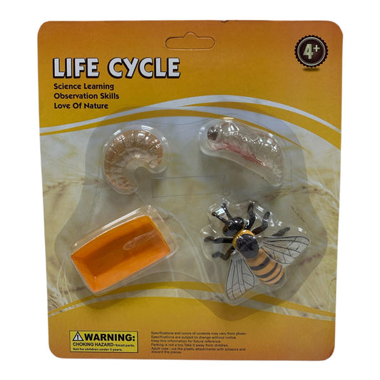 Educational Scientific Toys Life Cycle Set Bee || مجموعة العاب علمية دورة حياة النحلة