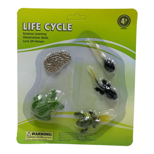 Educational Scientific Toys Life Cycle Set Frog || مجموعة العاب علمية دورة حياة الضفدع