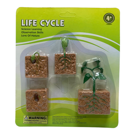 Educational Scientific Toys Life Cycle Set Plant || مجموعة العاب علمية دورة حياة النبته