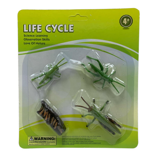 Educational Scientific Toys Life Cycle Set Grasshopper || مجموعة العاب علمية دورة حياة الجندب