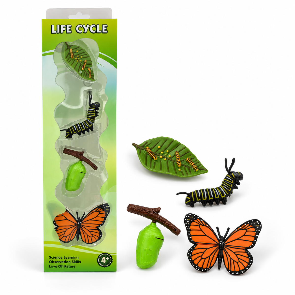 Educational Scientific Toys Life Cycle Set Butterfly || مجموعة العاب علمية دورة حياة الفراشة