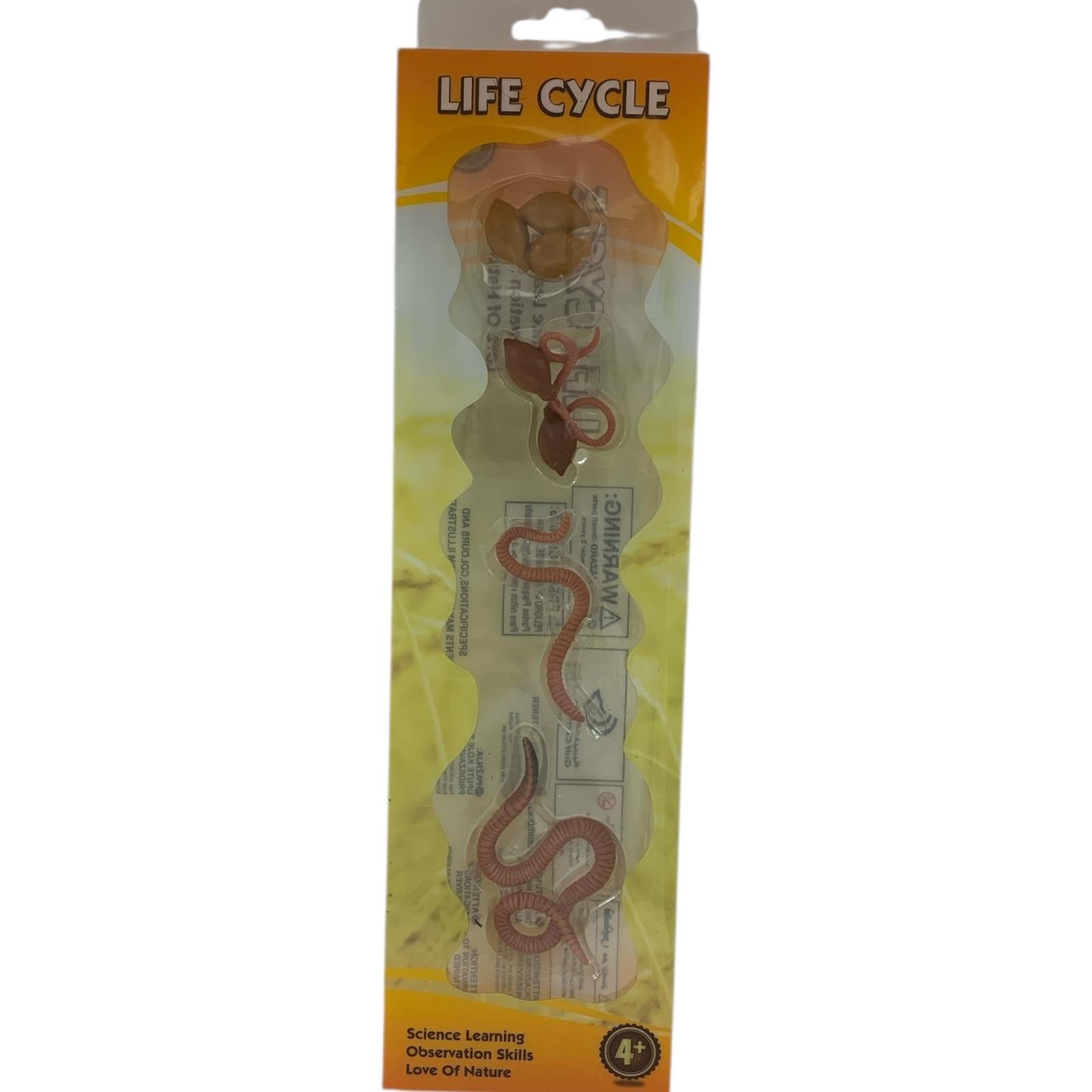 Educational Scientific Toys Life Cycle Set Worm || مجموعة العاب علمية دورة حياة الدودة
