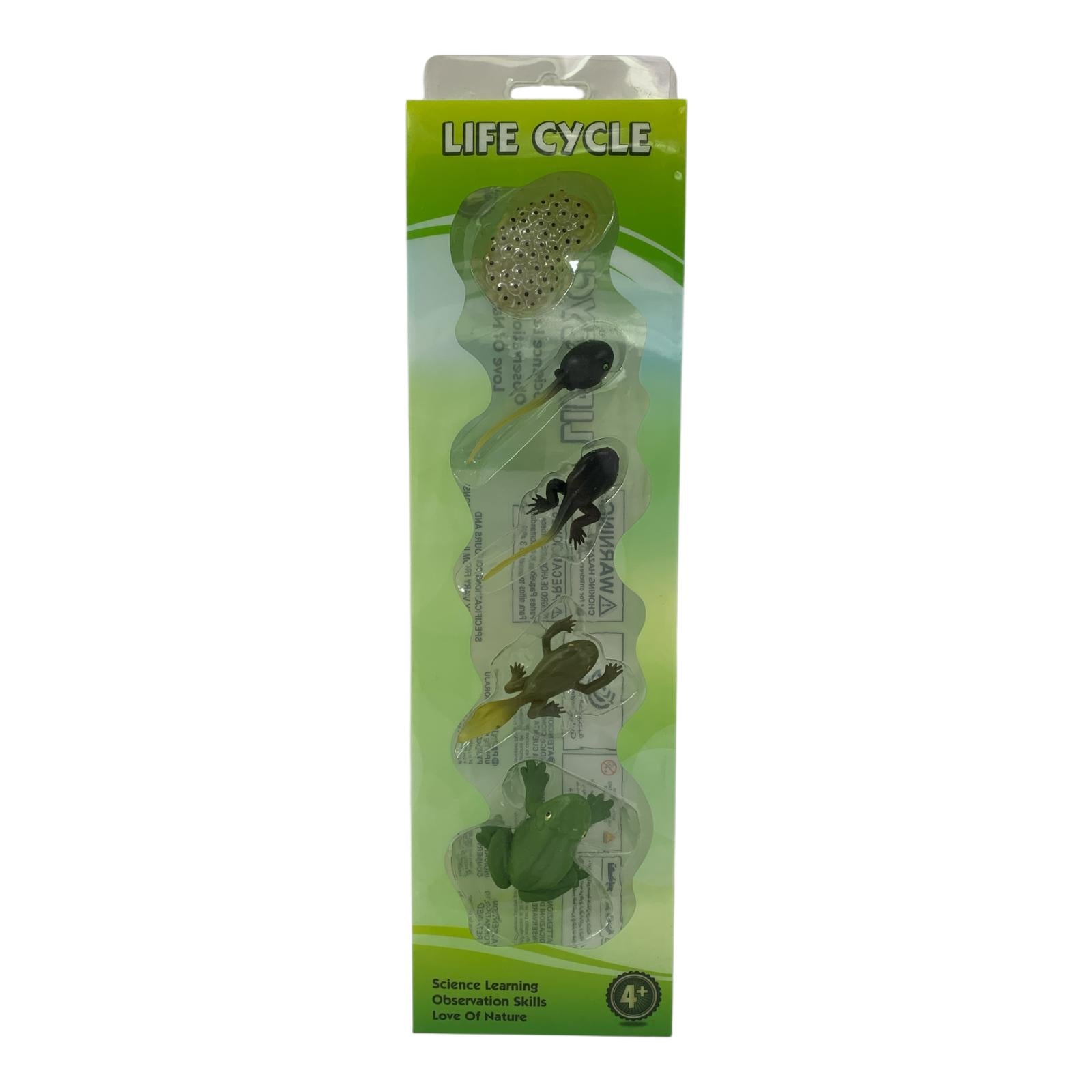 Educational Scientific Toys Life Cycle Set Frog || مجموعة العاب علمية دورة الضفدع