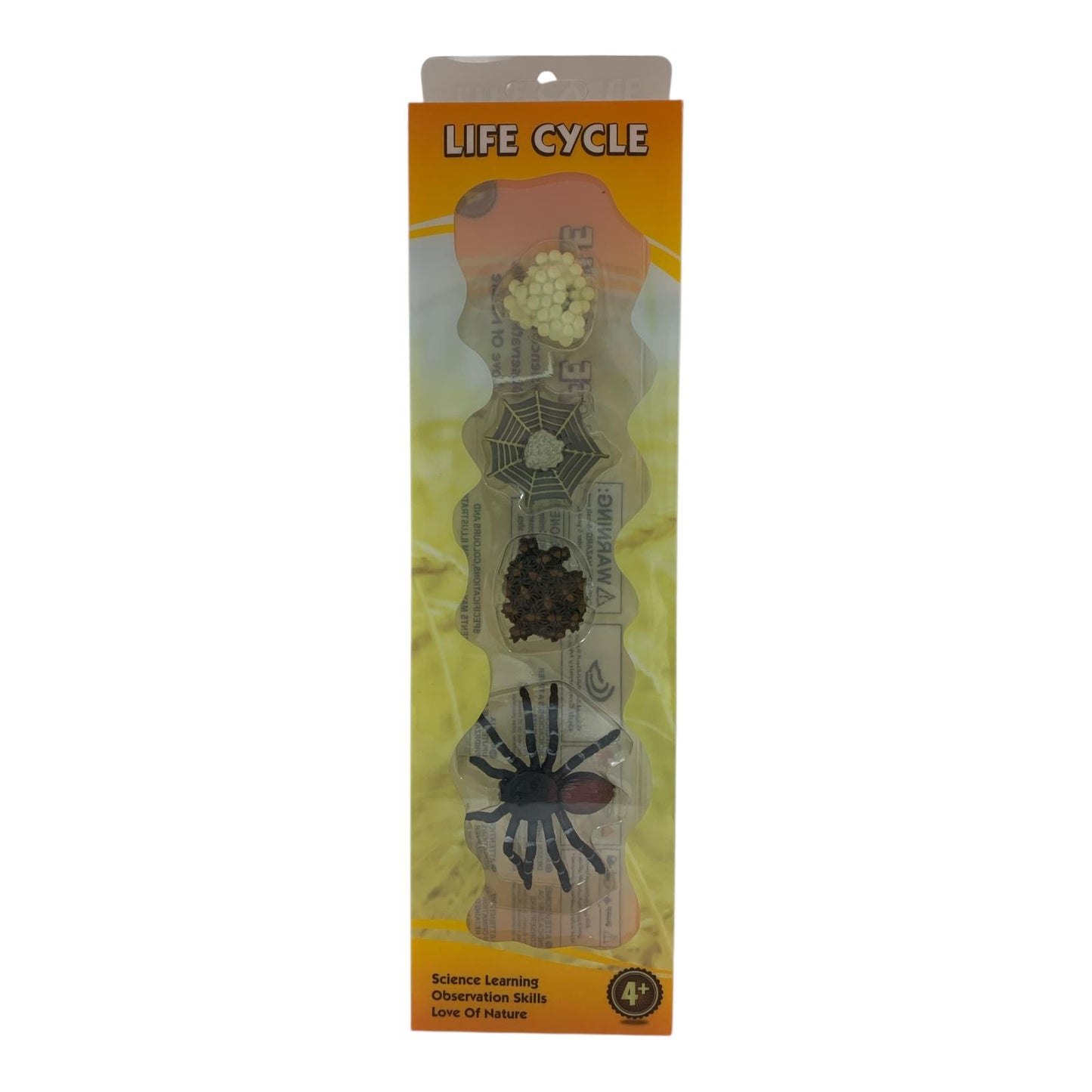 Educational Scientific Toys Life Cycle Set Spider || مجموعة العاب علمية دورة حياة العنكبوت
